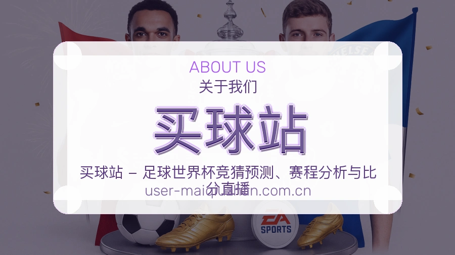 体育赛事服务团队与关于我们信息